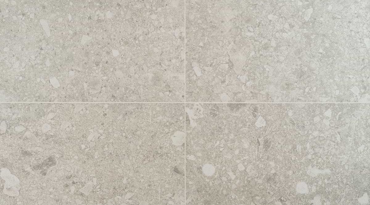 TileBar: Rizo Matte 24x24 Porcelain Tile Silver Beig 1293733