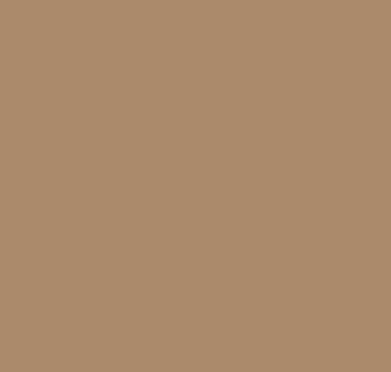Benjamin Moore: Jackson Tan HC-46 788739 | Material Bank