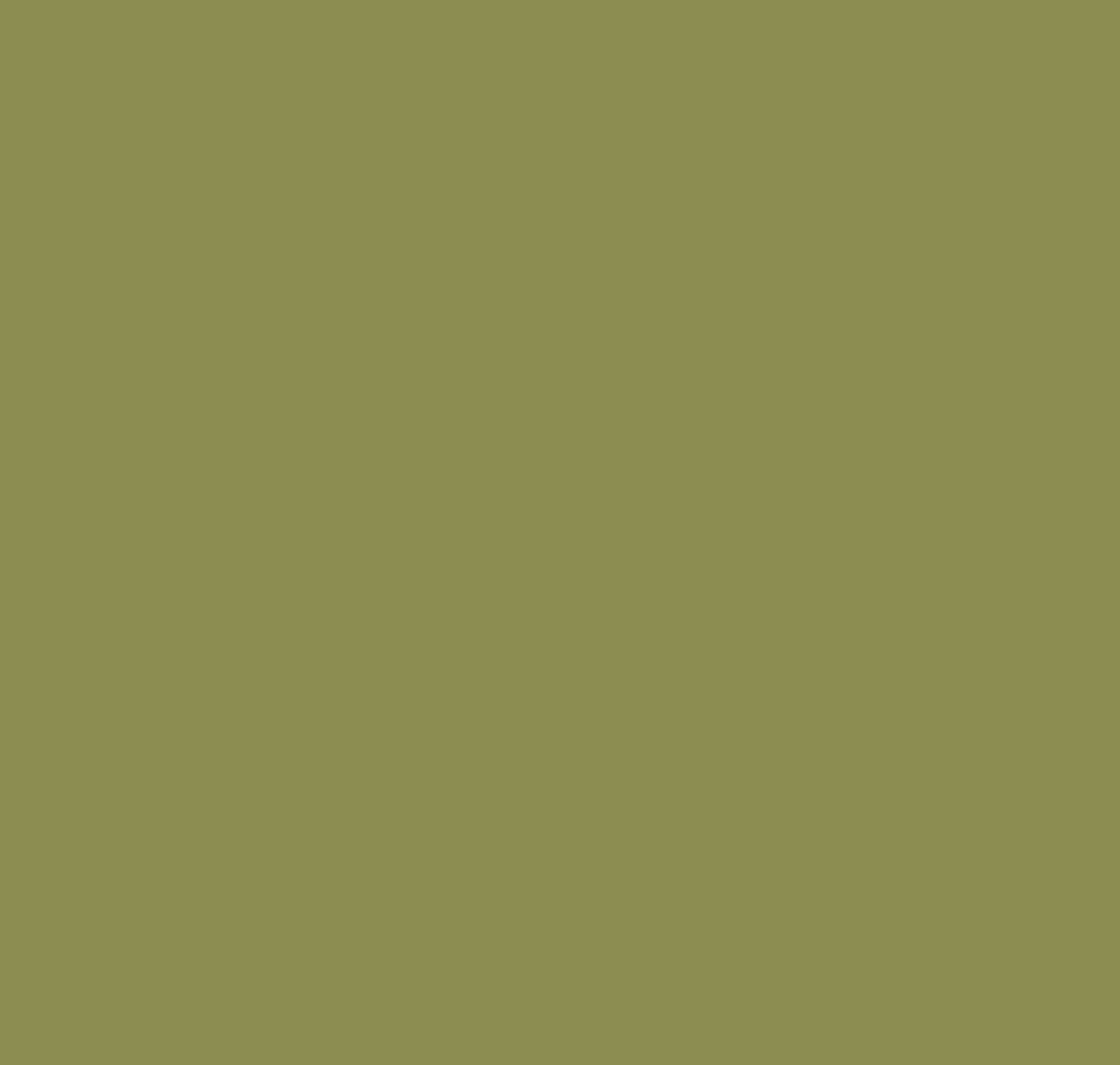 Benjamin Moore: Terrapin Green 2145-20 790809 | Material Bank