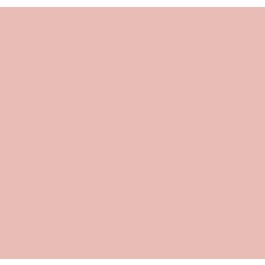 Pink 2174 Benjamin Moore: Eraser Pink 2174-50 792496 | Material Bank