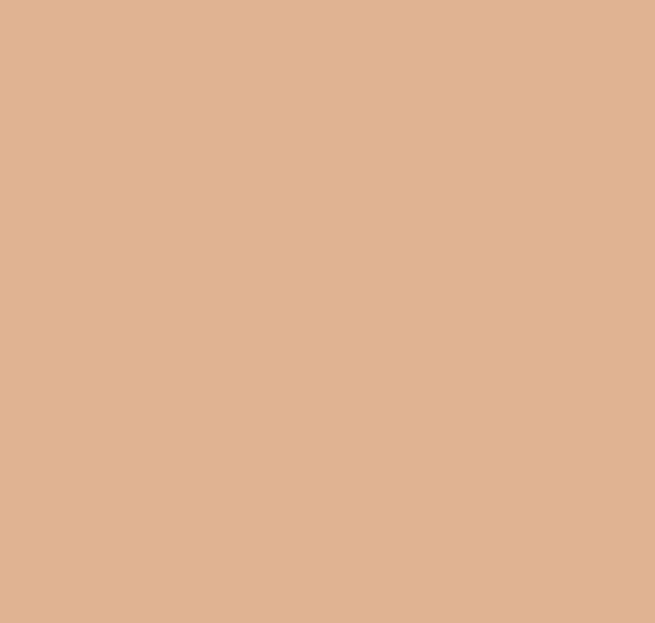 Sherwin-Williams: Soft Apricot 814500 | Material Bank