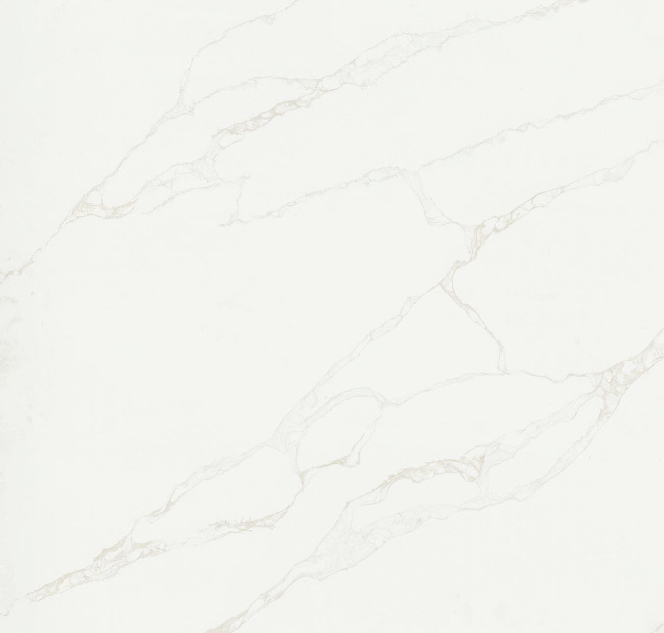 Calacatta Rivessa | Material Bank
