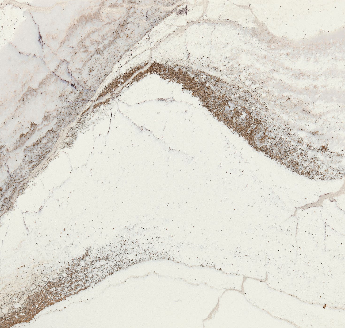 Cambria: Windsor Brass Satin Ridge 1970125 | Material Bank