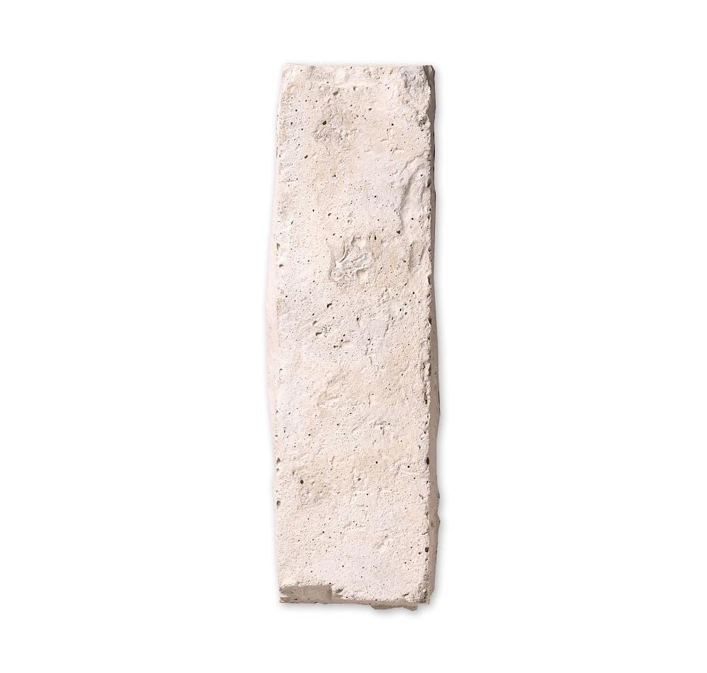 Arto: Standard 2 in x 8 in Thin Brick Veneer Early G 2143904