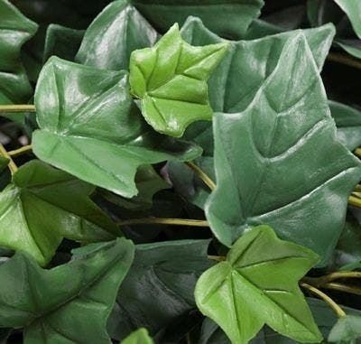 UpScapers: Verigated Ivy - Replica Foliage For Plant 2306478 | Material ...