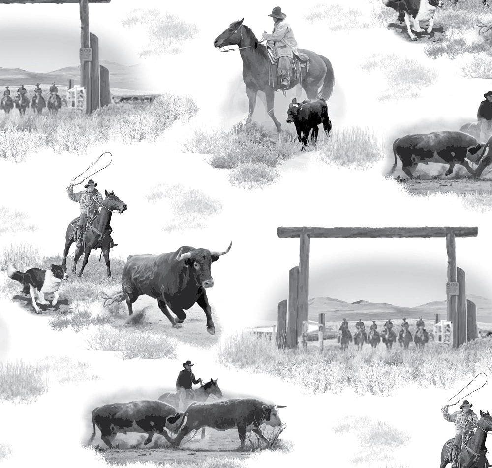 Desert Poppy Paper Co.: Cowboy Roundup Grey 2338077 | Material Bank