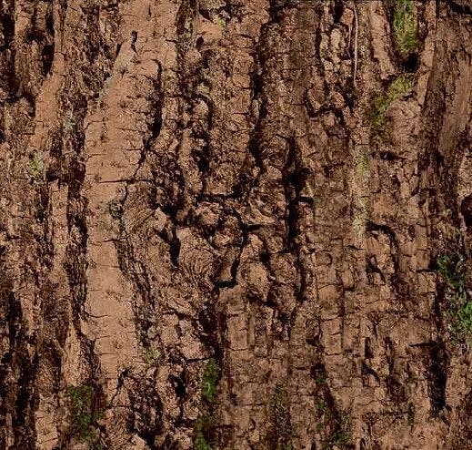 Steel Dynamics: TruSteel HD - Walnut Tree Bark Walnu 2562448 | Material ...